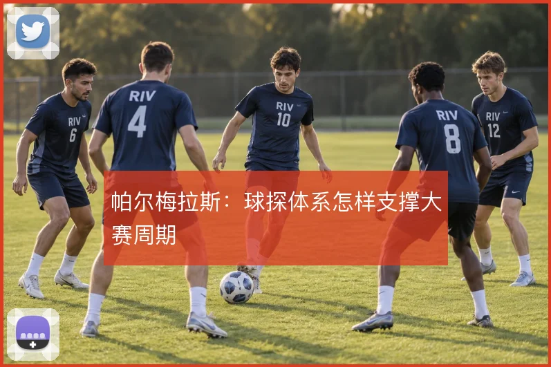 帕尔梅拉斯：球探体系怎样支撑大赛周期